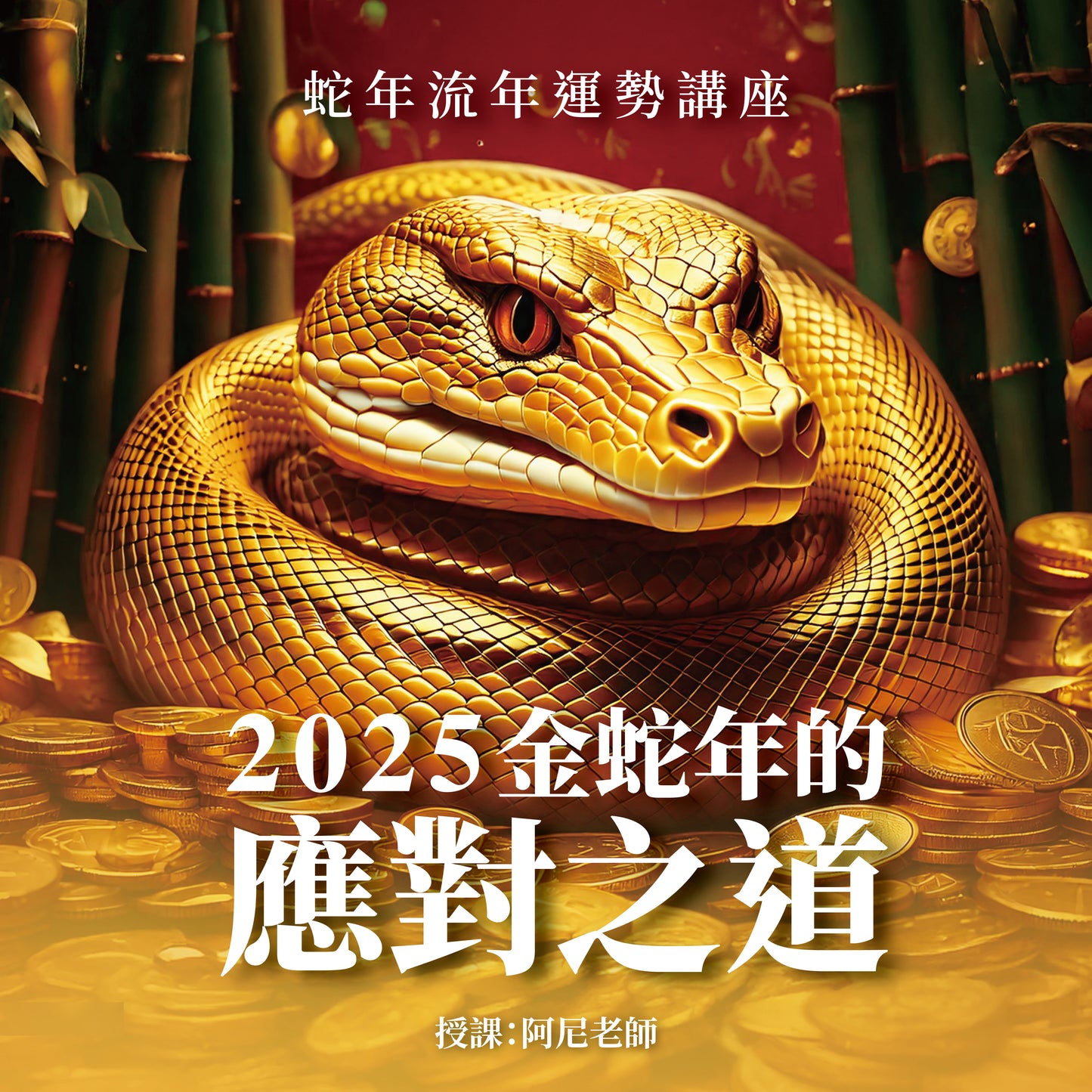 2025金蛇年的應對之道-線上講座