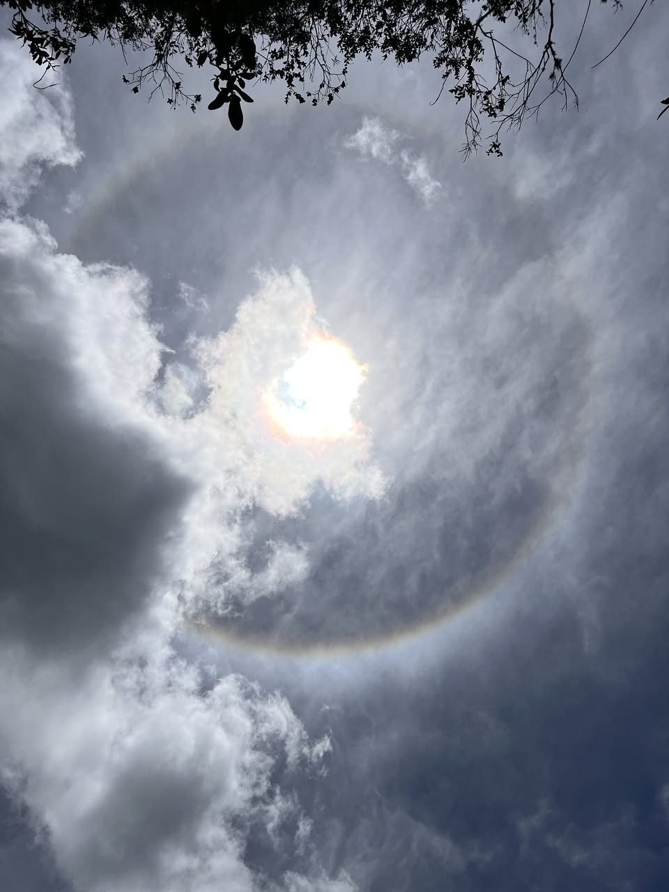 印加大日・古文明噴霧