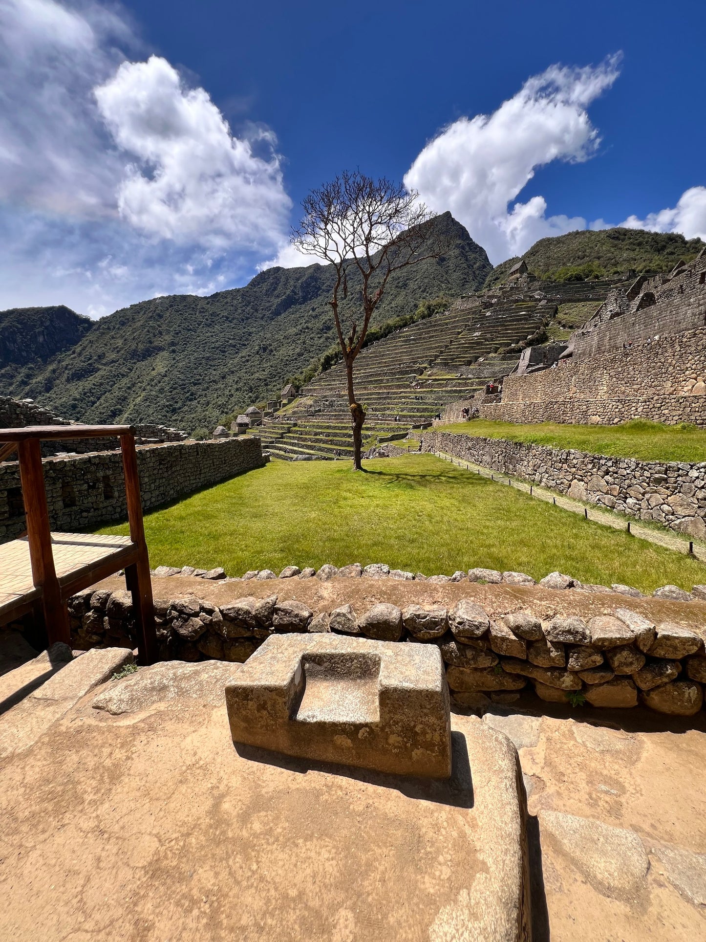 印加大日・古文明噴霧