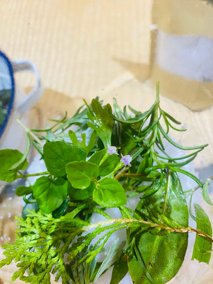 除穢藥草鹽