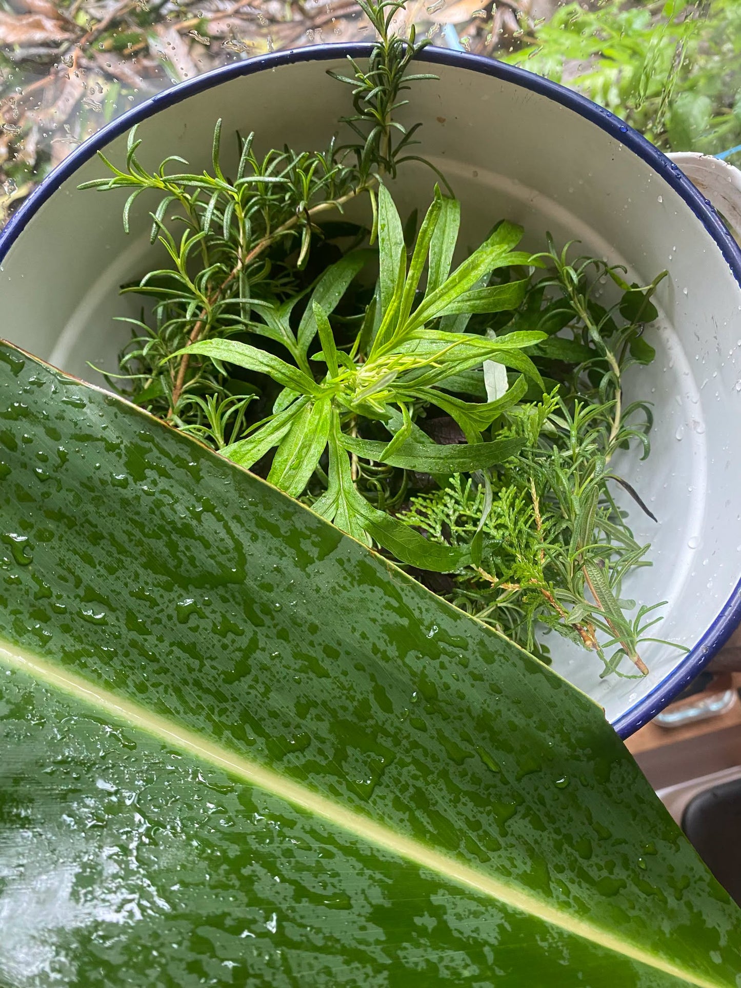 除穢藥草鹽
