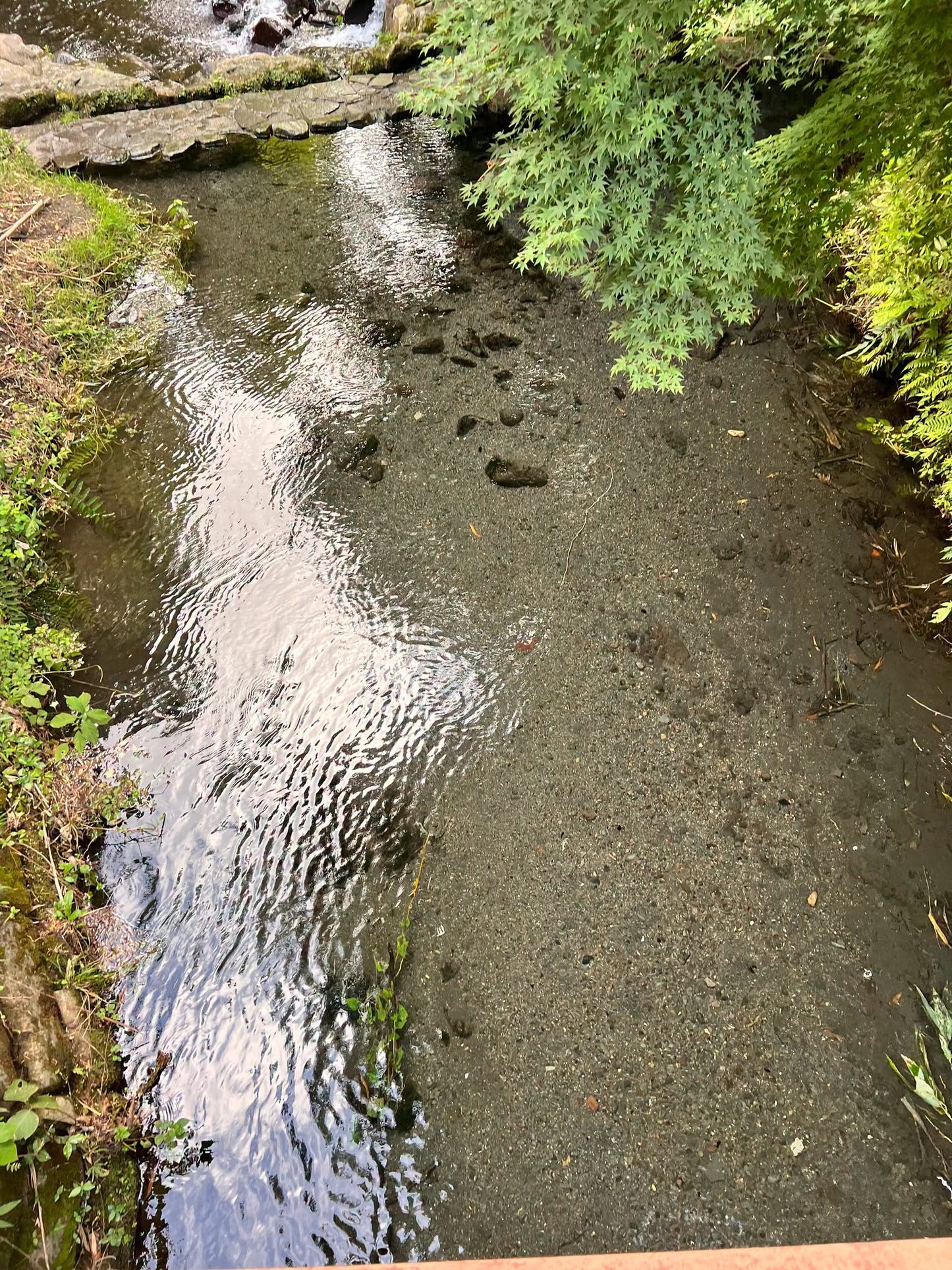 【火山噴霧】