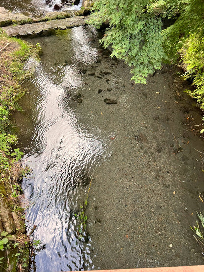 【火山噴霧】