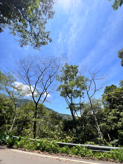 陽淨・午時水噴霧