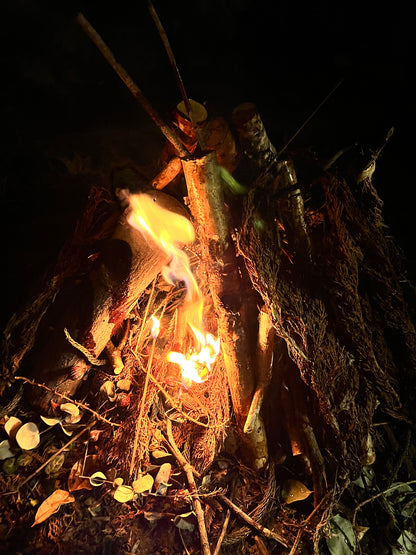 冬至點燈儀式（Yule）